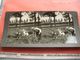 3 stereo Foto Op Dik Grijs Kartonnen Kaart, Milk Wagon LAITIER C1900 Dog Honden, KEYSTONE VIEW Heavy Loaded Wagon - Marchands Ambulants