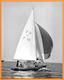 VOILIER - BARCA - SAIL BOAT - BARCA A VELA PHOTO PRESS 1959 - Barche