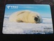 CHINA SHANGHAI BABY SEAL     CARD Used **1155** - China
