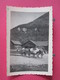 25 - Doubs - Vuillafans - La Scierie - Attelage De Bœufs - 1947 - Recto Verso - Photographie