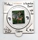 MALAWI 10 KWACHA 2004 PROOFLIKE SILVERPLATED COLOURED ENDANGERED WILDLIFE AFRICA ZEBRA'S - Malawi