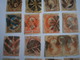 ETATS-UNIS - USA Stamp -  20 Timbres De Service - Fancy Cancels - Must To See Absolutly - 4 Photos - Oblitérés