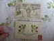 Delcampe - LOT DE CARTES POSTALES ANCIENNES TOUTES AUTHENTIQUES VRAIMENT A ETUDIER ET VOIR - 5 - 99 Postcards