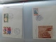 Delcampe - Ancien Timbres Français Neuf - Collections (with Albums)