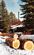 Sawmill In The Winter Time - Trees Wood - Scierie Moulin à Scie - Bois - Unused - 2 Scans - Other & Unclassified