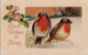 Christmas Greetings - Birds - Embossed - Gilding - Mailed From And To Sherbrooke Québec In 1909 - 2 Scans - Other & Unclassified