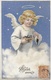 CPA Fantaisie Anges Nid Oisillons Gaufrée 1901 - Anges