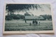 CPA/CPSM - Carte Postale, Gabon, Eglise Et Groupe D'enfants à Oyem, Société Des Missions évangéliques, Sépia - Gabon