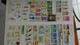 Delcampe - D46 Collection De Timbres ** Et * De Différents Paus. Majorité **. A Saisir !!! - Collections (en Albums)