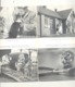 The Peoples Dispensary For Sick Animals - SPA Anglaise - +/- 1955 - 38e Report  (gr) - Dieren