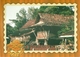 7296 " THAILAND PHILATELIC EXHIBITION 1997 "- 4 THAILAND POSTCARD - Thaïlande