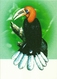 7306 " THAILAND  THE SECOND INTERNATIONAL ASIAN HORNBILL WORKSHOP "- 4 THAILAND POSTCARD - Thaïlande