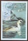 CM 1993 - YT N°2785 - NATURE DE FRANCE / CANARDS - VILLARS LES DOMBES - 1990-1999