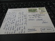 TARIF AIR MAIL 2.50KR THEME CANARDS 4 SEP 60 THE GREAT GEYSIR HAS GIVEN ITS NAME TO HOT SPRINGS ALL OVER THE WORLD - Luchtpost