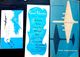 Delcampe - AVIATION COMMERCIALE PAN AM   12 DOCUMENTS ANCIENS BILLETS PUBLICITE CARTES EMBARQUEMENT ANNEES 1960 - Tickets