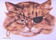 Cut And Make Cat Masks By Evelyn Gathings Dover USA  (Masques à Habiller) - Activités/ Livres à Colorier