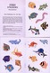Fish Stickers By Nina Barbaresi Dover USA (autocollants) - Activiteiten/ Kleurboeken