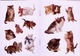 Old Time Cats Stickers By Carol Belanger Grafton Dover USA (autocollants) - Actividades /libros Para Colorear