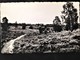 Netherlands, Circulated Postcard,  "Nature", "Landscapes", "'Rheden", 1967 - Rheden