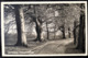 Netherlands, Uncirculated Postcard,  "Nature", "Landscapes", "Oosterbeek" - Oosterbeek