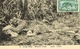 Congo Belge Belgisch Entier Postal Carte Postale Postkaart  N°51 Leopard Luipaard Foret Obl. Moyen Congo Francais BE - Postwaardestukken