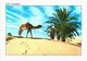 Delcampe - Lot 151 - Tunisie - 147 Cartes - 100 - 499 Postales