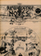 AKWESASNE NOTES (Autum 1980), Volume 12, Numéro 4, Newspaper Indian, Journal Indien, Mohwak, Ontario, New-York, 36 Pages - Geschichte