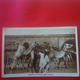 GROUP OF CAMELS ADEN CACHET MARITIME MARSEILLE A KOBE - Yémen