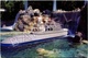 Anaheim (États-Unis) - Disneyland - Submarine Voyage (+ Détail Description) - Anaheim