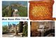 Delcampe - Lot 165-  Mont Sainte Odile - 160 Cartes - 100 - 499 Postcards