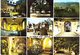 Delcampe - Lot 165-  Mont Sainte Odile - 160 Cartes - 100 - 499 Postkaarten