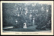 Netherlands, Uncirculated Postcard, "Monuments", "Landscapes", "Zutphen" - Zutphen