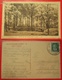 I2-Germany Vintage Postcard- Partie Bei Der Knaumuhle Limbach-Sa. - Limbach-Oberfrohna