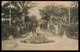 MARSALA (TRAPANI)  VIALE DELLE PALME 1917 - Marsala