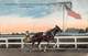 010375 "LEXINGTON - TROTTING HORSE A FANILIAR ON THE RACE TRECK" ANIMATA, CAVALLO.  CART SPED 1917 - Lexington