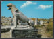 111860/ DELOS, The Terrace Of The Lions - Griechenland