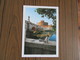 Italie       Rome  Castel Saint Angelo    Carte  17 X 12      Chat             Joli Timbre Mozart - Castel Sant'Angelo