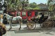 CARTE POSTALE ORIGINALE 10CM/15CM COULEUR : NEW ORLEANS FRENCH QUARTER SIGHTSEEING CARRIAGE LOUISIANA  1993 ETATS UNIS - New Orleans