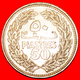 · CEDAR TREE (1968-1980): LEBANON ★ 50 PIASTRES 1969! LOW START ★ NO RESERVE! - Lebanon