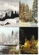 Lot N° 108 De 24 Cartes Nouvel An (Photos Sapins, Allemagne) Frohes Weihnachtsfest Und Ein Gites Neues Jähr - 5 - 99 Cartes