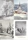 Delcampe - Lot N° 108 De 24 Cartes Nouvel An (Photos Sapins, Allemagne) Frohes Weihnachtsfest Und Ein Gites Neues Jähr - 5 - 99 Postcards