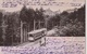 TROIS EPIS DREI AHREN  68 (  LE TRAMWAY )  CARTE ALLEMANDE  1903 - Trois-Epis