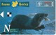 B-062 TARJETA DE PRUEBA DE LA NUTRIA EN COLOR MATE (DUMMY) - [3] Fehlliste