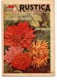 Rustica N 14 Avril 1953 Dahlias Cactus Et Decoratifs - Jardinería