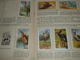 Rare Album Collecteur D'images Chromos, Publicitaire Entremets FRANCORUSSE N°2, Nature, Oiseaux Et Papillons - Albumes & Catálogos