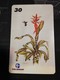 BRAZIL   INDUCTIVE CARDS  Flowers /botanicas     15 CARDS    ** 1669 ** - Brasilien