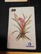 BRAZIL   INDUCTIVE CARDS  Flowers /botanicas     15 CARDS    ** 1669 ** - Brasilien