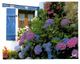 Lot 200- Thème - Fleur Plante -  Environ 120 Cartes - 100 - 499 Postcards