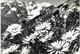 Delcampe - Lot 200- Thème - Fleur Plante -  Environ 120 Cartes - 100 - 499 Cartes