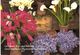 Delcampe - Lot 200- Thème - Fleur Plante -  Environ 120 Cartes - 100 - 499 Cartoline